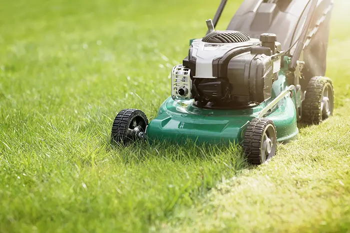 Can You Mow Wet Grass in San Mateo, CA