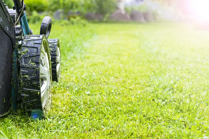 Can You Mow Wet Grass in San Mateo, CA