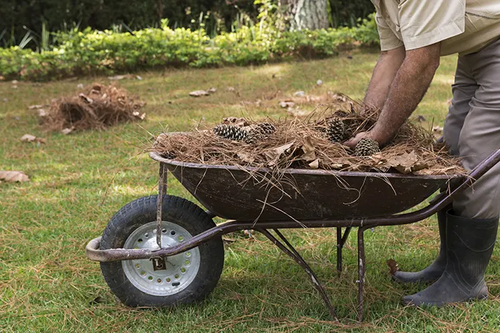 How To Clean A Backyard in San Mateo, CA