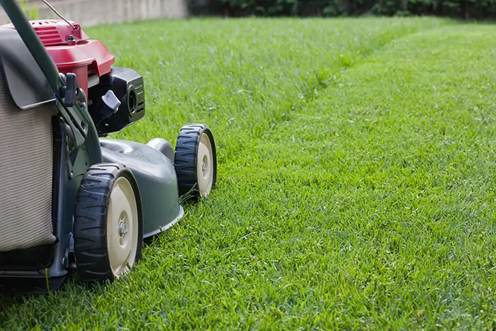 How to Mow a Lawn in San Mateo, CA