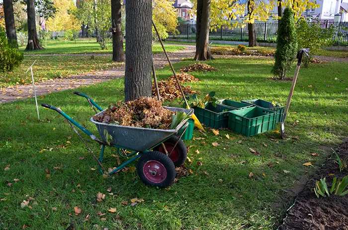 How to clear a yard full of weeds in San Mateo, CA