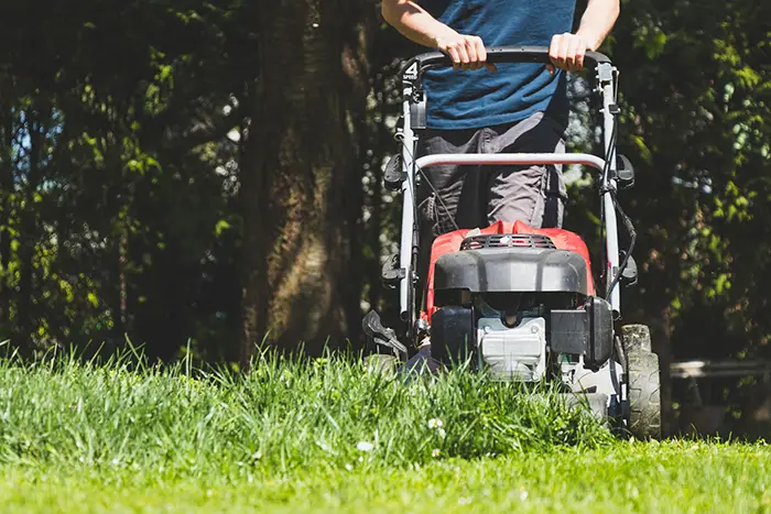 Lawn Mowing in San Mateo, CA