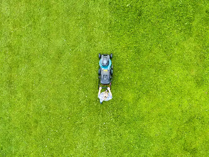 Lawn Mowing in San Mateo, CA