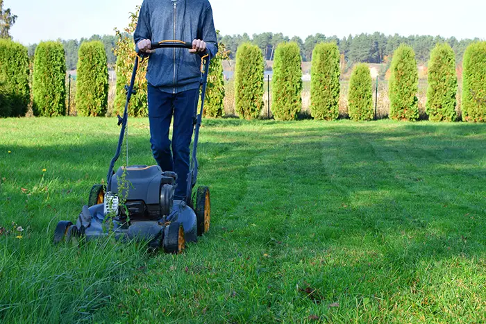 Lawn Mowing