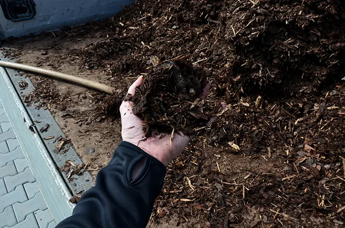 Mulching in San Mateo, CA