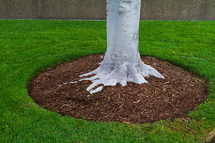 Mulching in San Mateo, CA