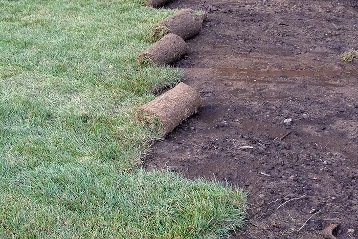 Sod Installation in San Mateo, CA