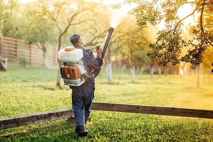 When is the best time to fertilize your lawn in San Mateo, CA