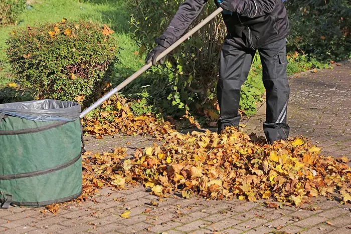 Yard Cleanup in San Mateo, CA