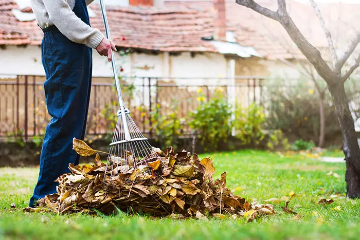 Yard Cleanup in San Mateo, CA