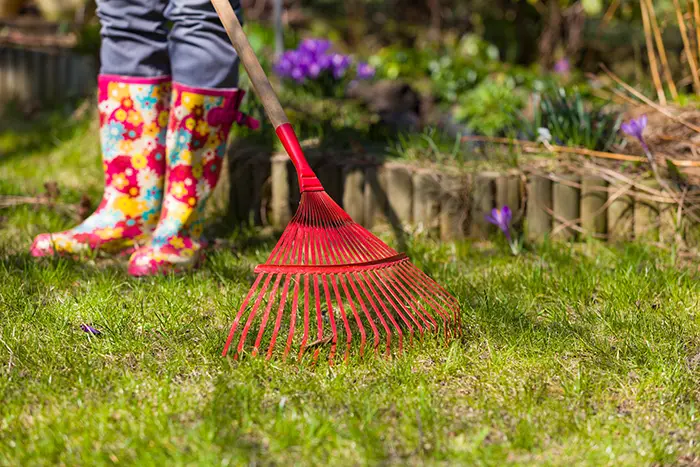 Yard Cleanup in San Mateo, CA